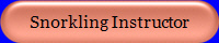 Snorkling Instructor